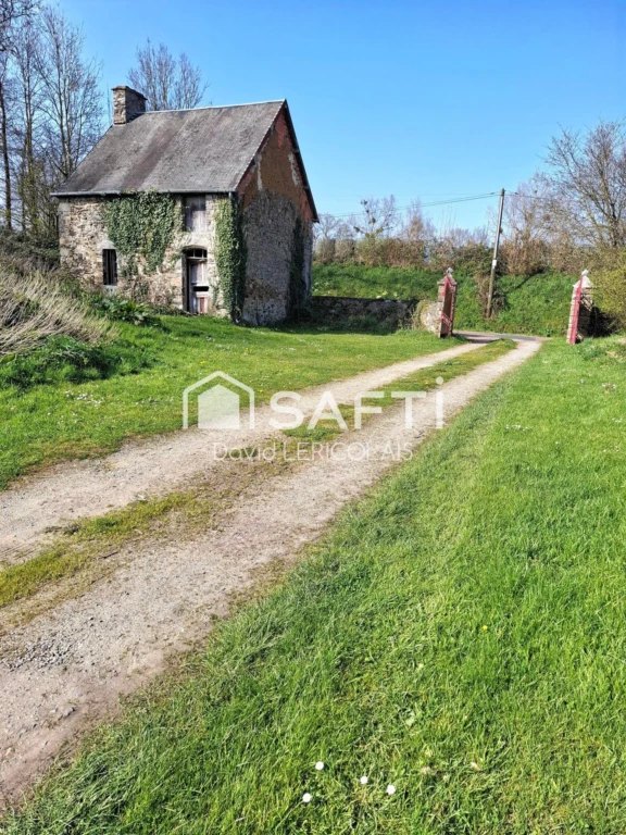 Photo 19