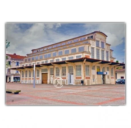 Photo 4