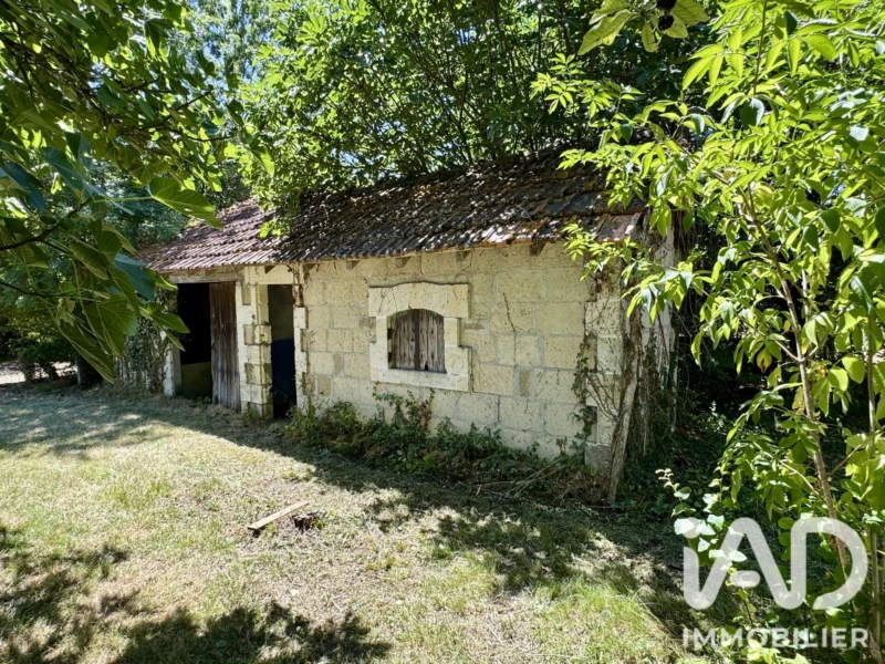 Photo 23