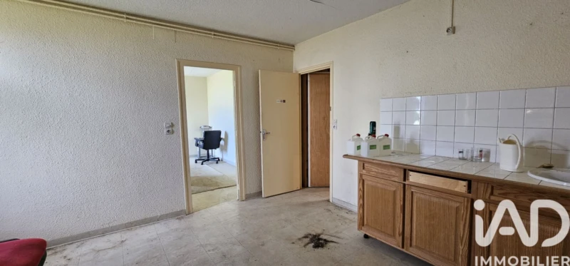 Photo 19