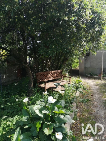 Photo 22