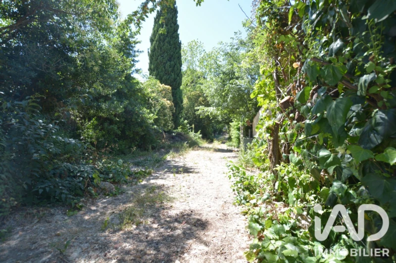 Photo 26