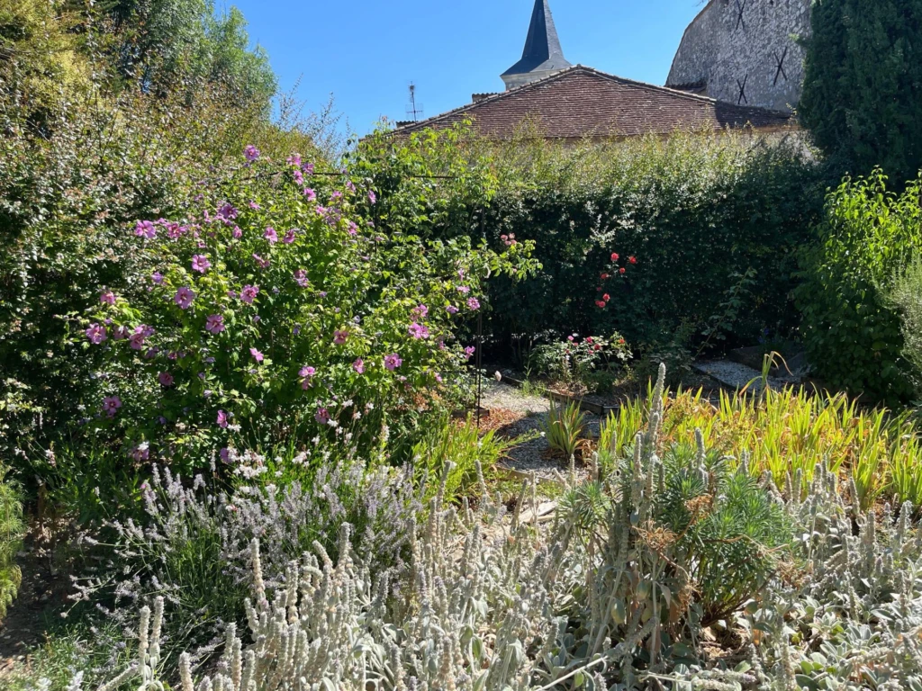 Photo 13