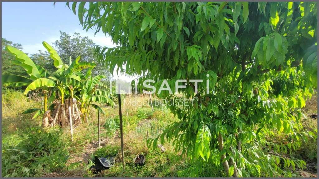 Photo 20