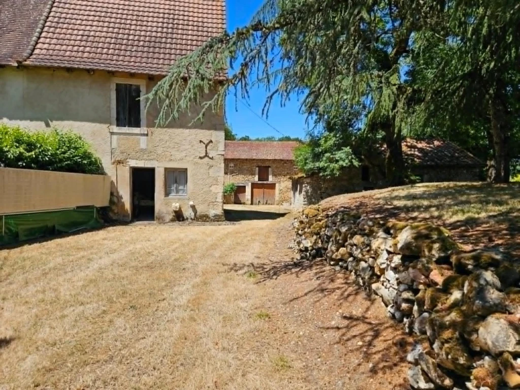 Photo 17