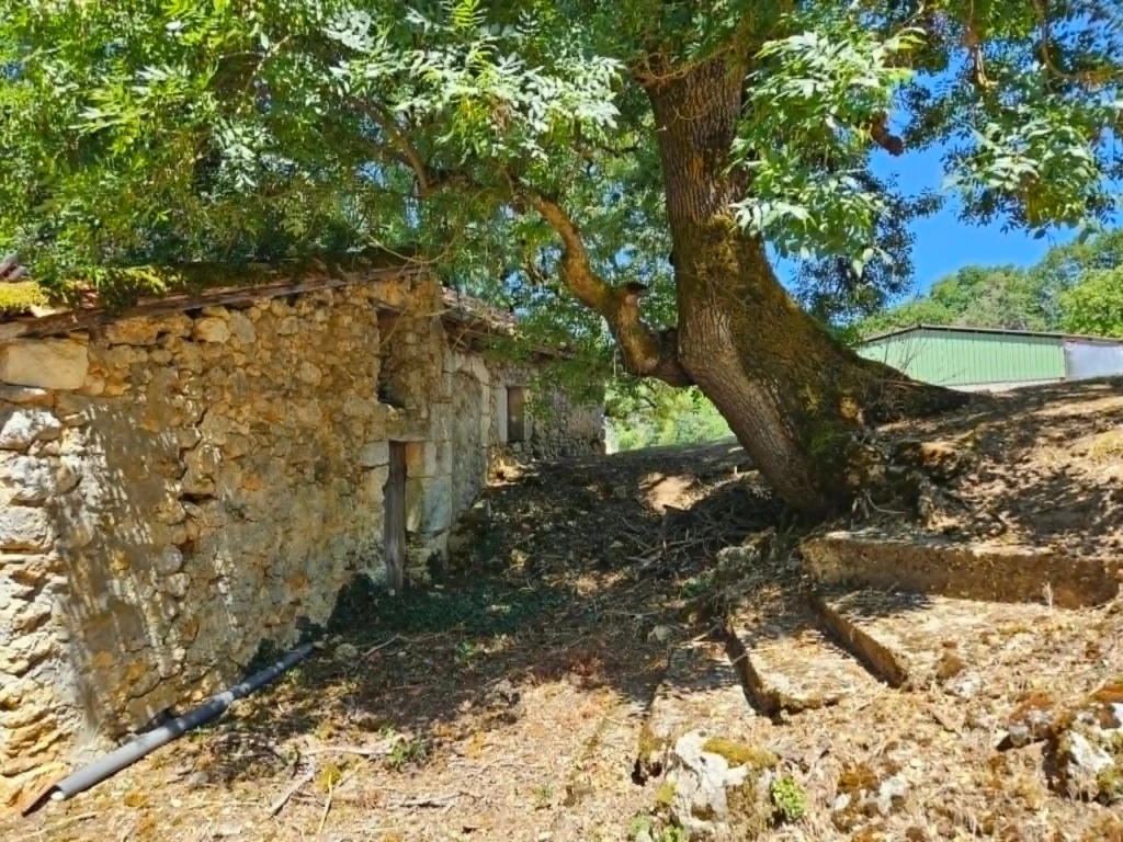 Photo 18