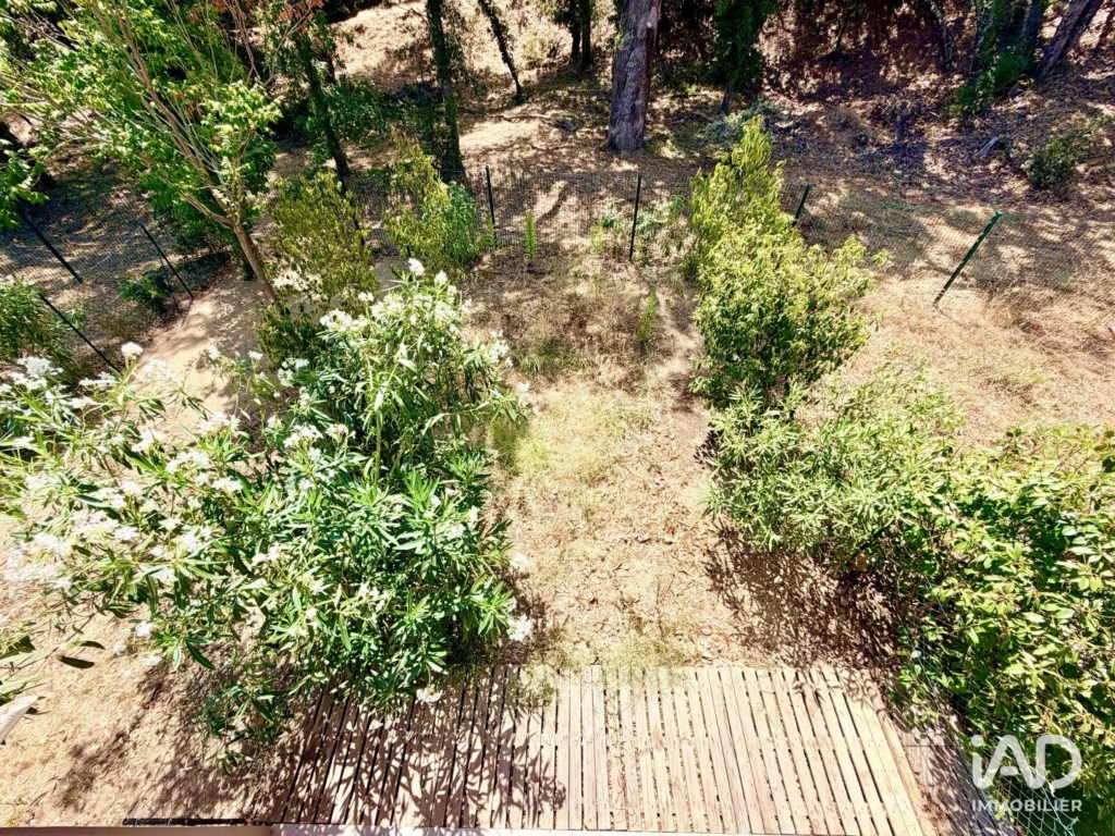 Photo 24