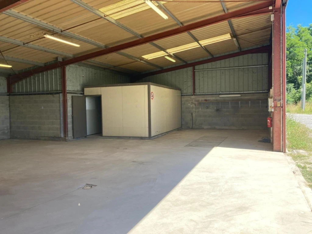 Photo 6