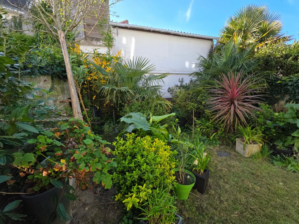 Photo 15