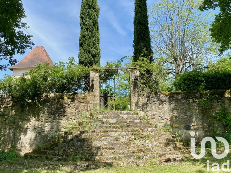 Photo 19