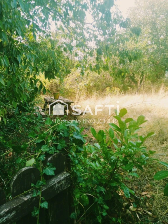 Photo 17