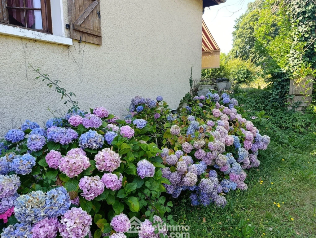 Photo 30