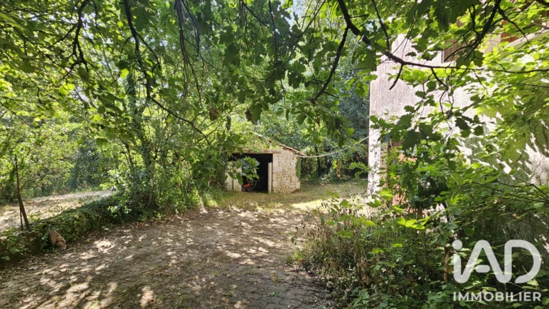 Photo 21