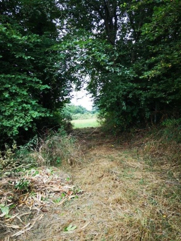 Photo 20