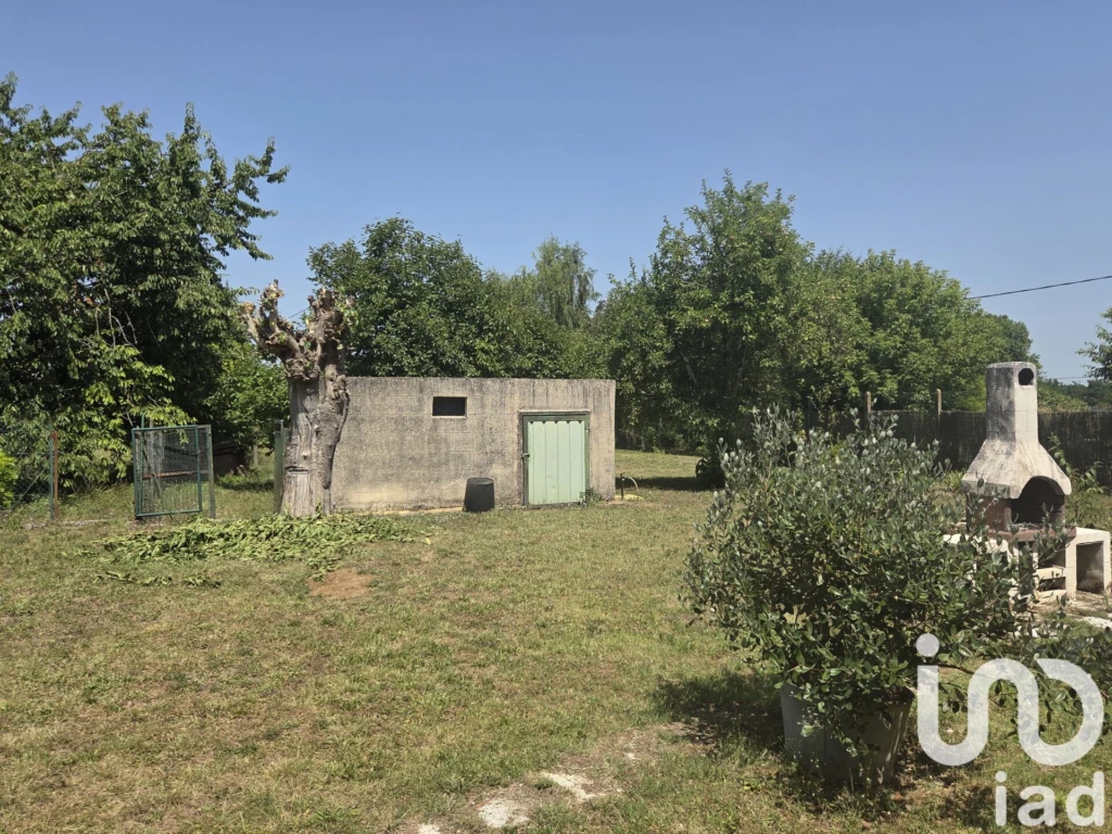 Photo 19