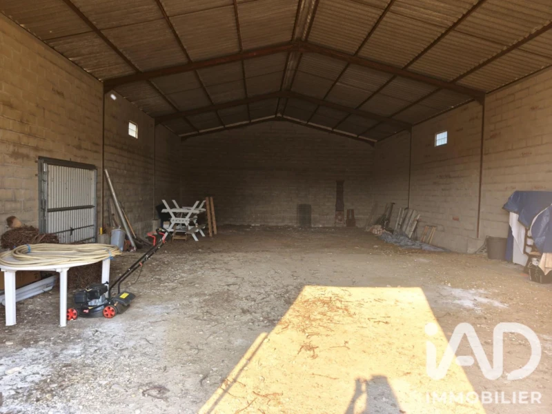Photo 14
