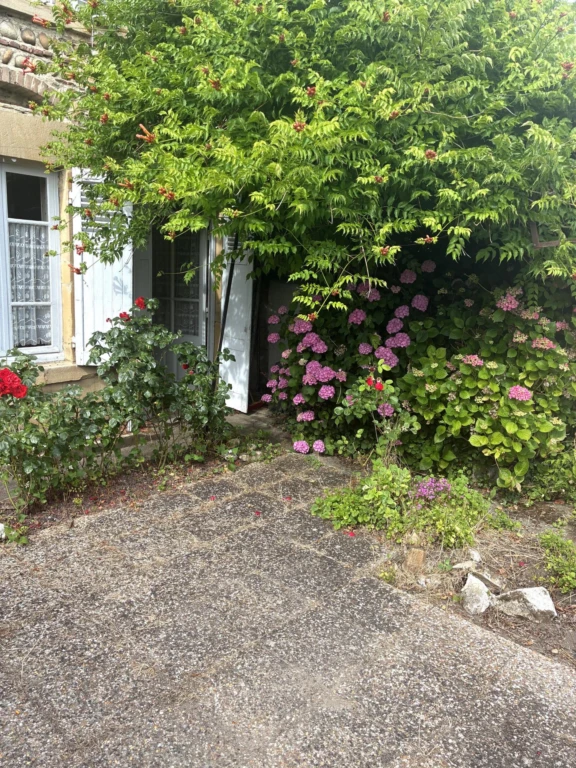 Photo 4