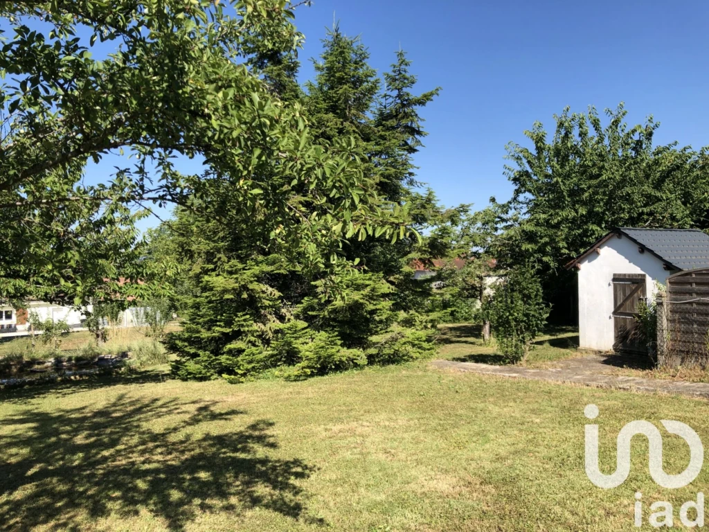 Photo 19