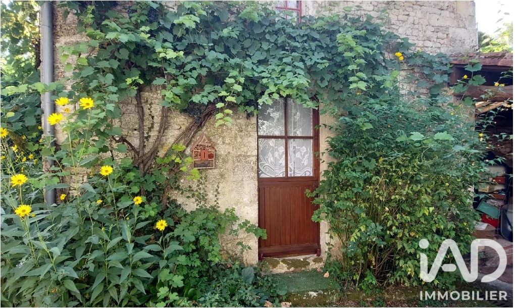 Photo 15
