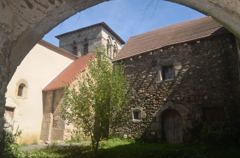 Photo 11