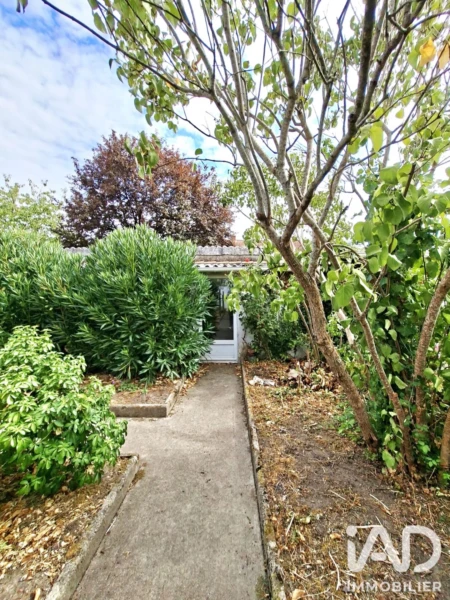 Photo 25