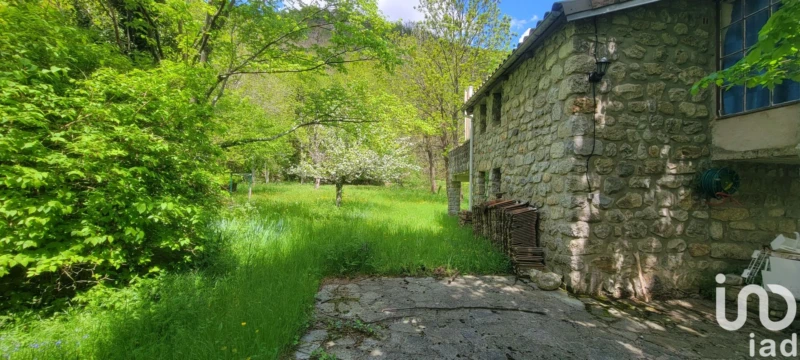 Photo 20