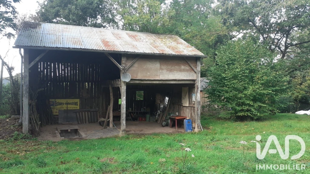 Photo 19