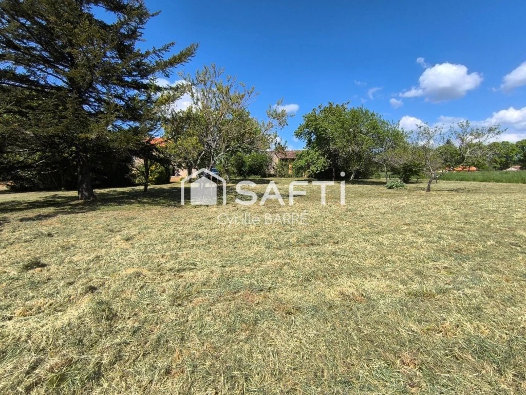 Photo 19