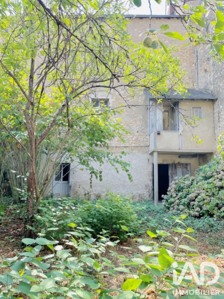 Photo 12