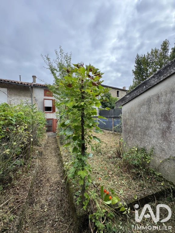 Photo 24