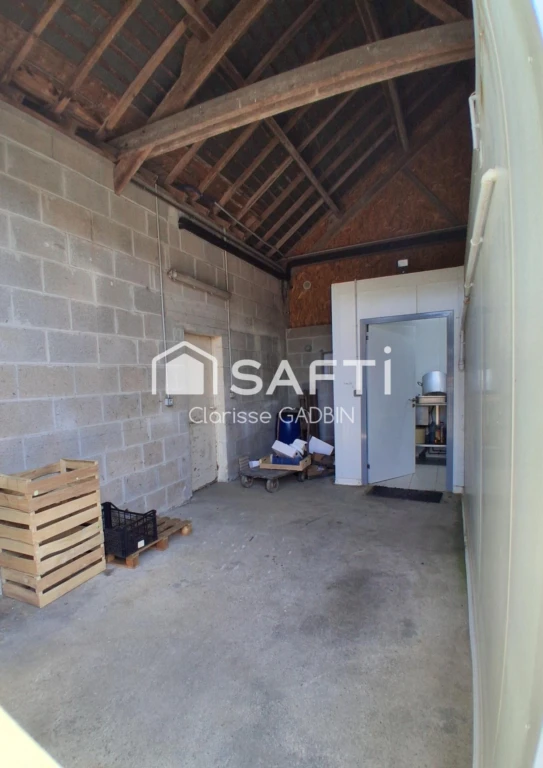 Photo 15