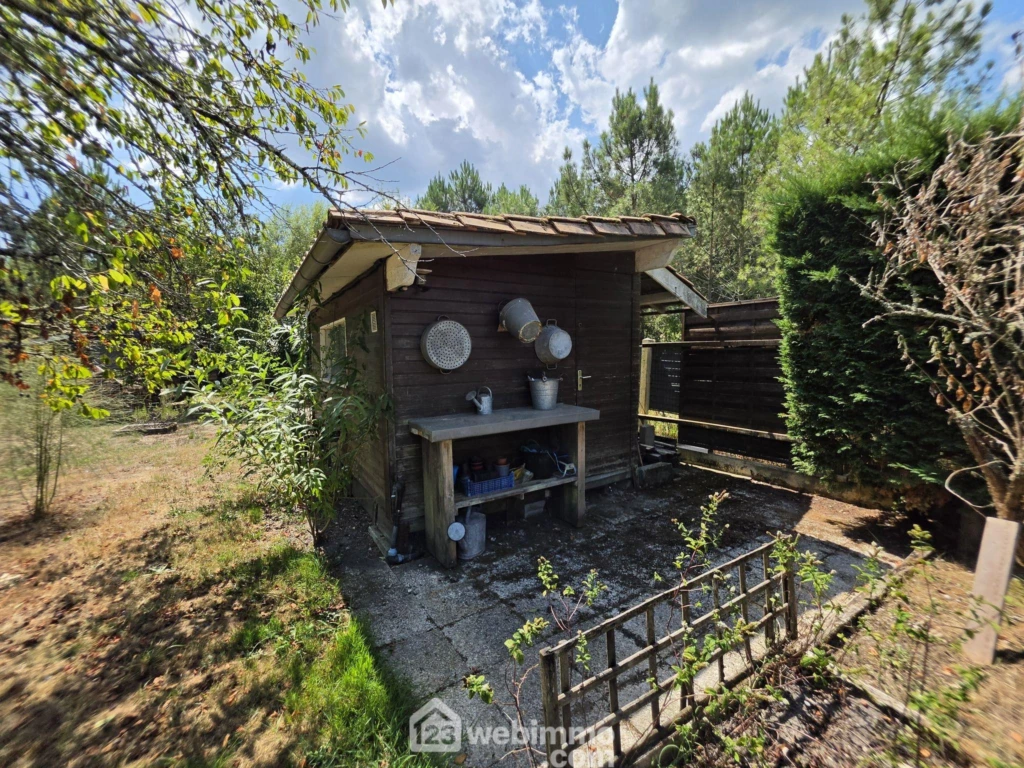 Photo 25