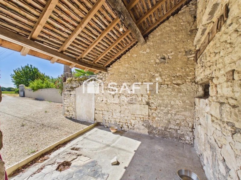 Photo 15