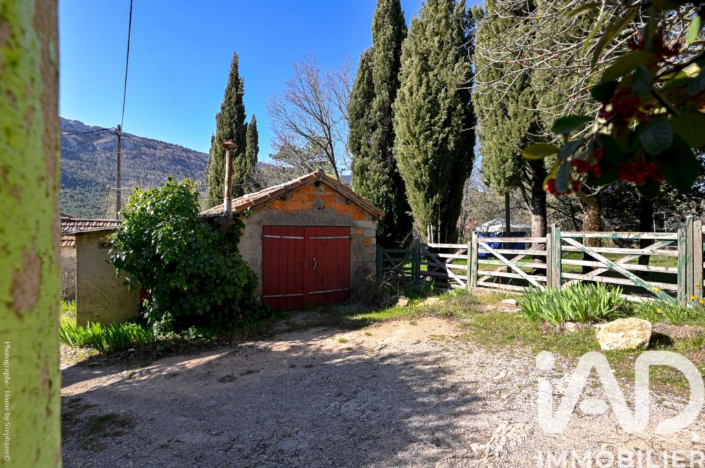 Photo 11