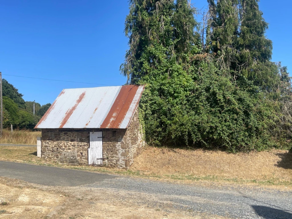 Photo 6