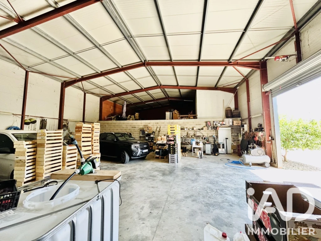 Photo 15