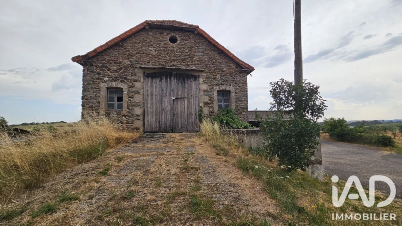 Photo 19