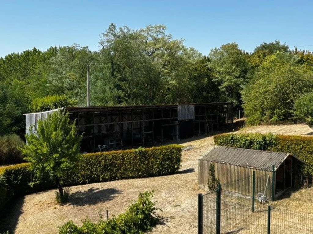Photo 13