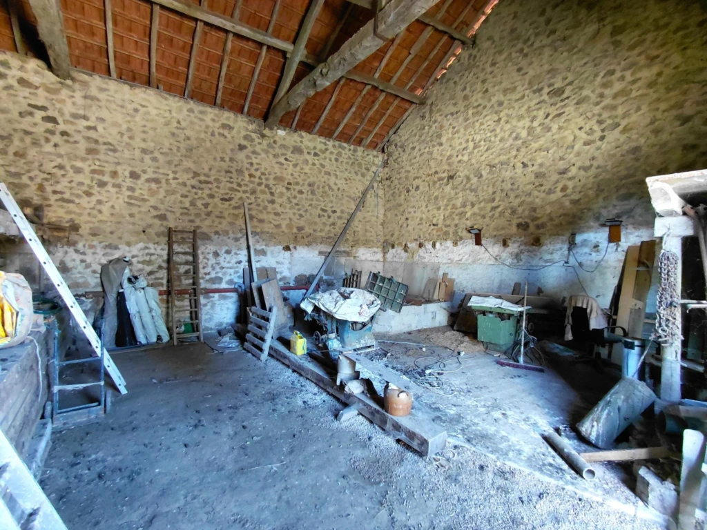 Photo 19