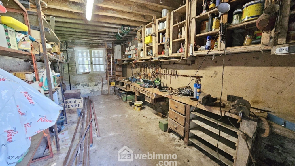 Photo 11