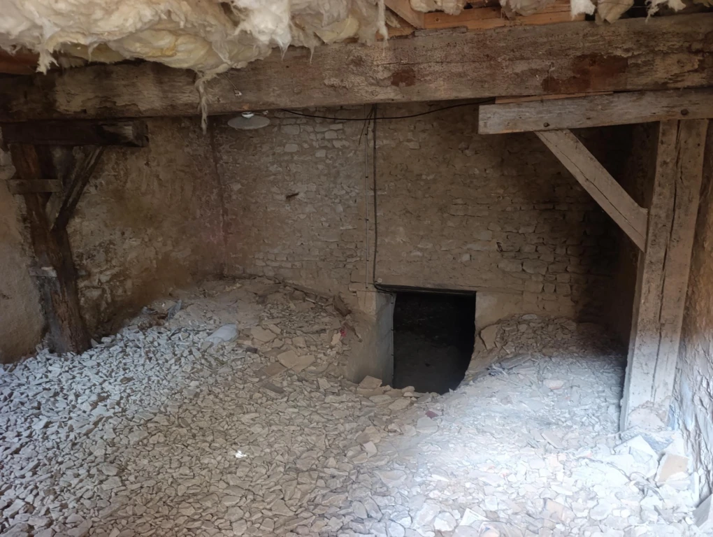 Photo 12