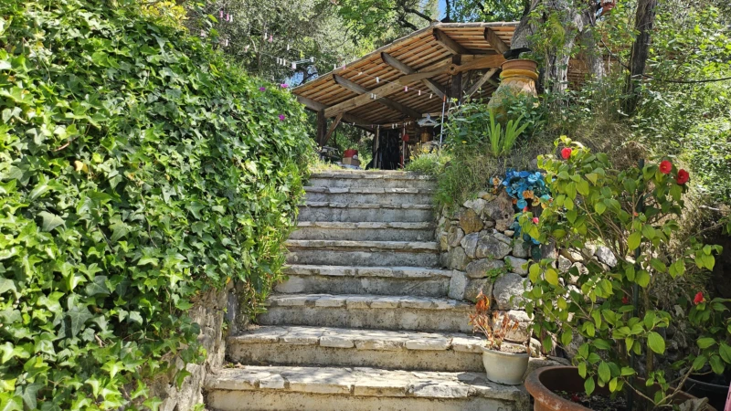 Photo 8