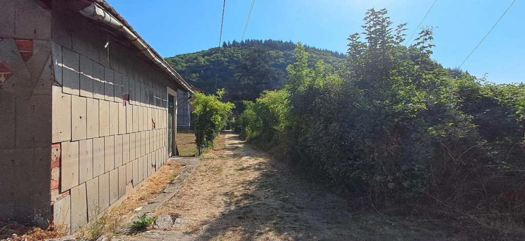 Photo 15