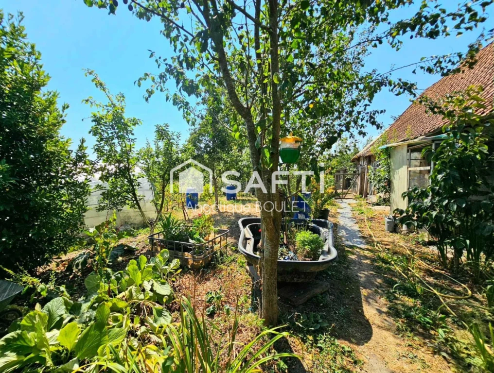 Photo 16