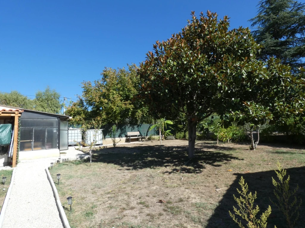 Photo 15