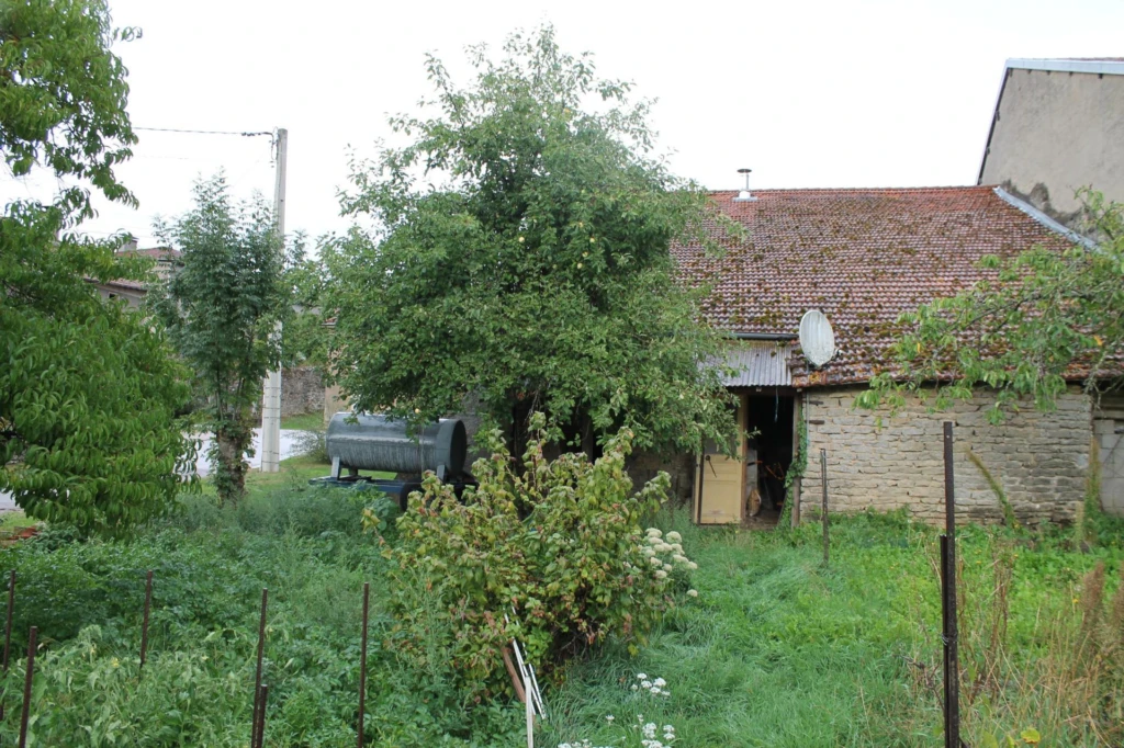 Photo 8