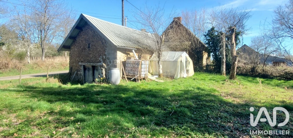 Photo 19
