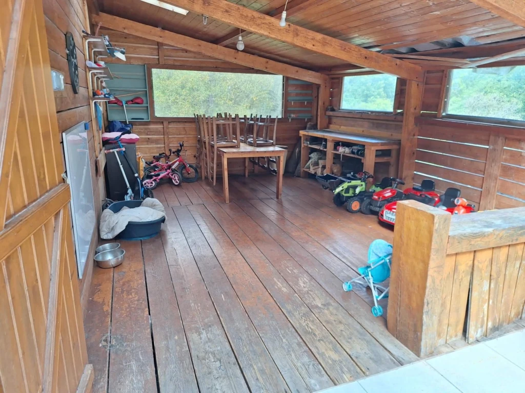 Photo 8