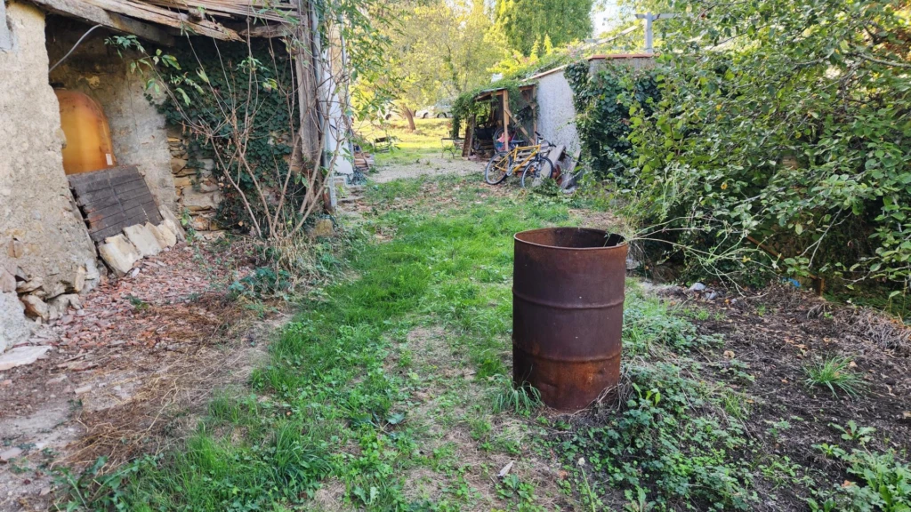 Photo 12