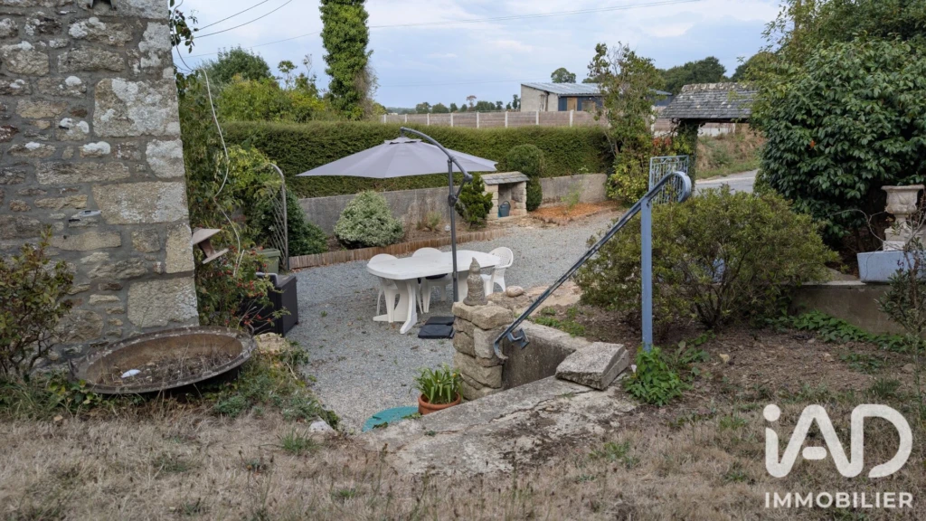 Photo 19